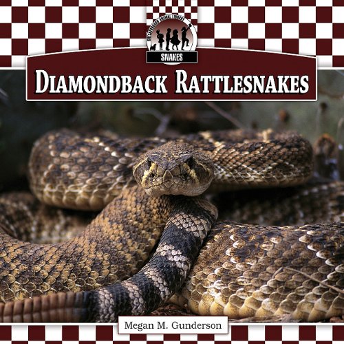 Diamondback Rattlesnakes by Megan M. Gunderson