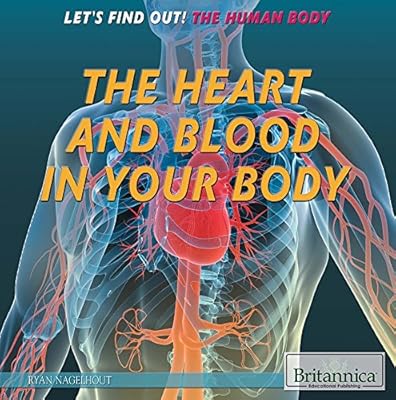 The Heart and Blood in Your Body