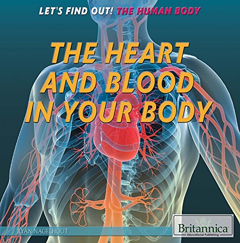 The Heart and Blood in Your Body by Ryan Nagelhout