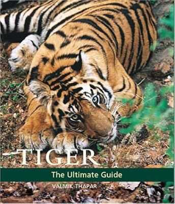 Tiger: The Ultimate Guide