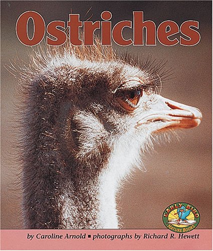Ostriches (Early Bird Nature) by Caroline Arnold