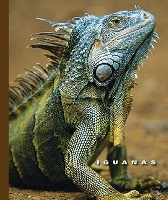Iguanas (The World of Reptiles)