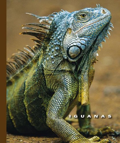 Iguanas (The World of Reptiles) by Sophie Lockwood