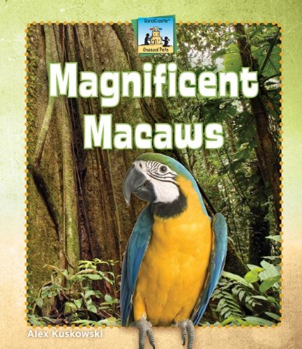 Magnificent Macaws by Alex Kuskowski
