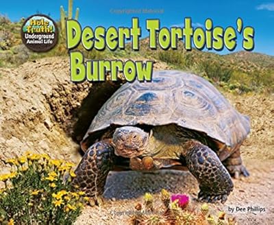 Desert Tortoise's Burrow