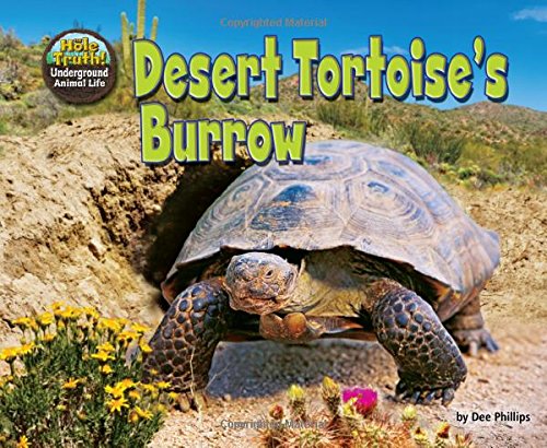 Desert Tortoise's Burrow by Dee Phillips