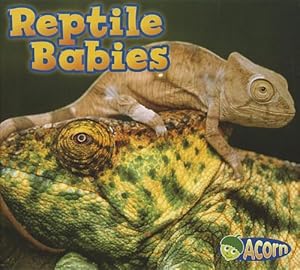 Reptile Babies