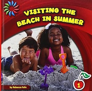 Visiting the Beach in Summer