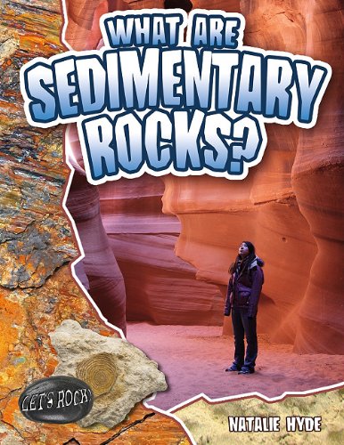 What Are Sedimentary Rocks? by Natalie Hyde