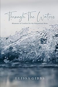 Through the Waters: Moments of Comfort for the Postpartum Mom by Elissa Gibbs