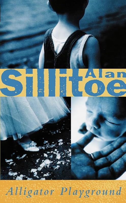 Alligator Playground by Alan Sillitoe