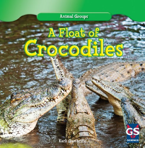 A Float of Crocodiles by Karlie Gambino
