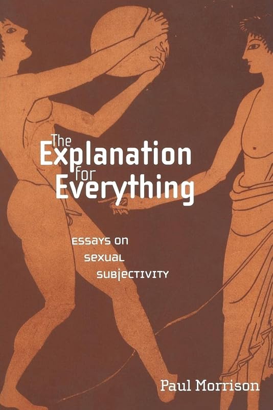 The Explanation For Everything: Essays on Sexual Subjectivity (Sexual Cultures, 31) by Paul Morrison