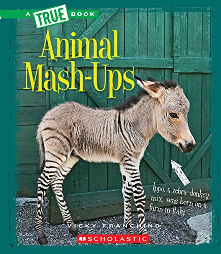 Animal Mash-Ups by Vicky Franchino