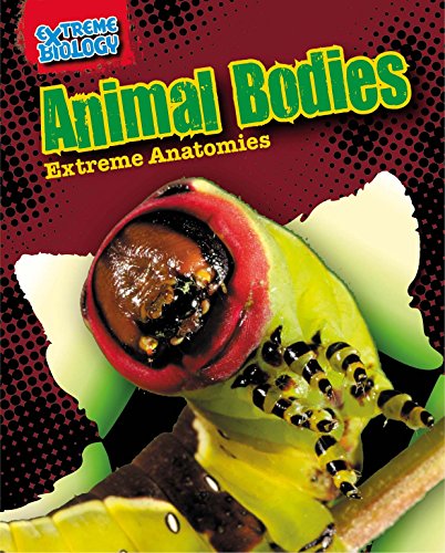 Animal Bodies: Extreme Anatomies by Louise Spilsbury