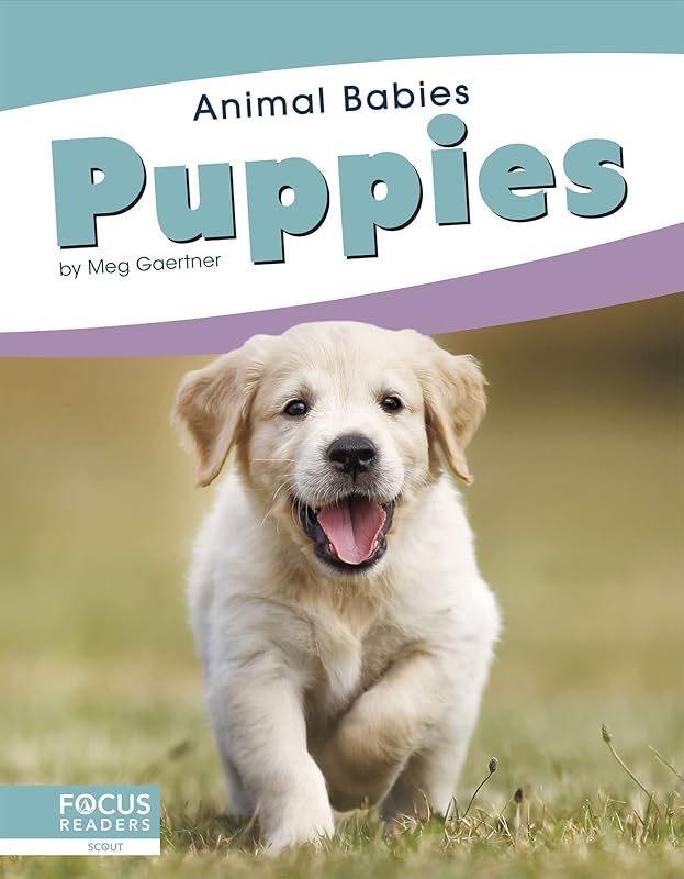 Puppies (Animal Babies (Set of 8)) by Meg Gaertner