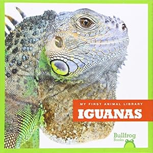 Iguanas by Mari C. Schuh