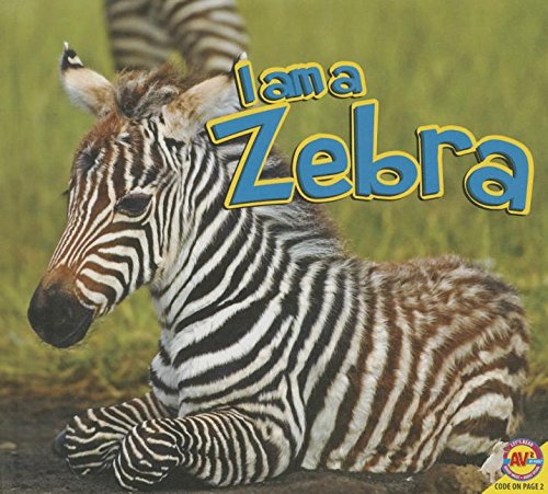 Zebra by Aaron Carr