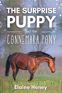 The Surprise Puppy and the Connemara Pony - The Coral Cove Horses Series (Coral Cove Horse Adventures for Girls and Boys) by Elaine Heney