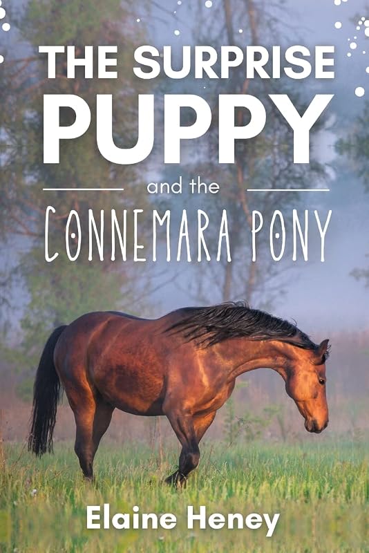The Surprise Puppy and the Connemara Pony - The Coral Cove Horses Series (Coral Cove Horse Adventures for Girls and Boys) by Elaine Heney