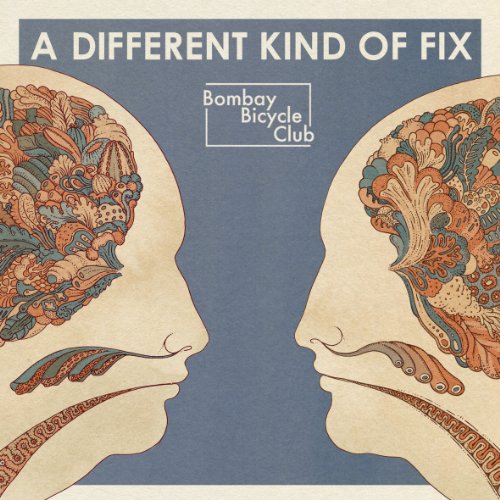 A Different Kind of Fix Album Art