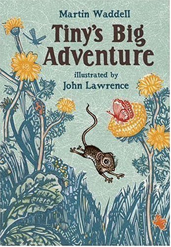 Tiny's Big Adventure (Horn Book Fanfare List (Awards)) by Martin Waddell