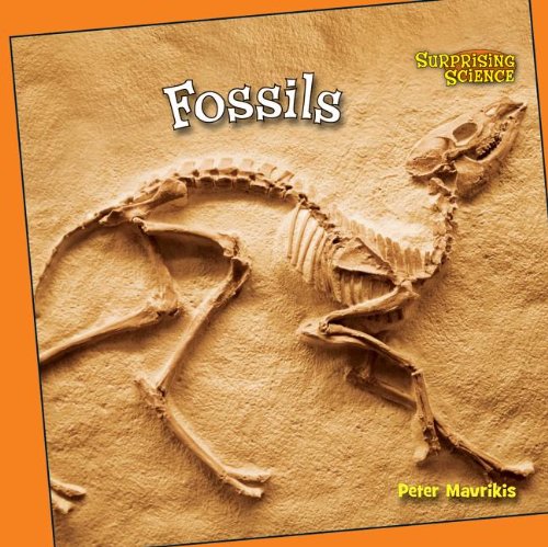 Fossils by Dean Miller 				  						  					 		 			  					  		                  	                   		                  			,