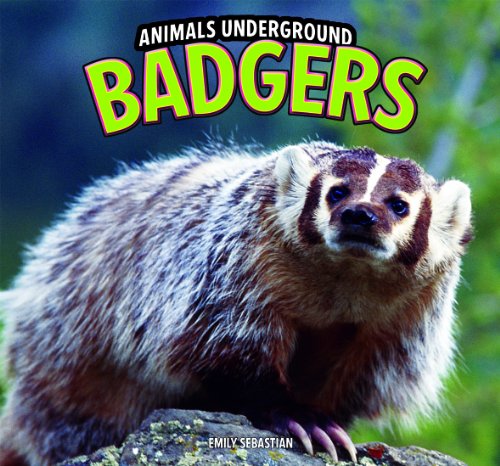 Badgers by Emily Sebastian