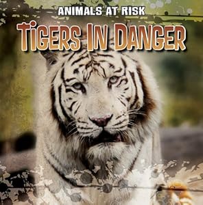 Tigers in Danger