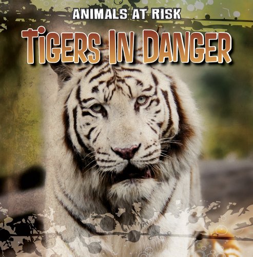 Tigers in Danger by Michael Portman