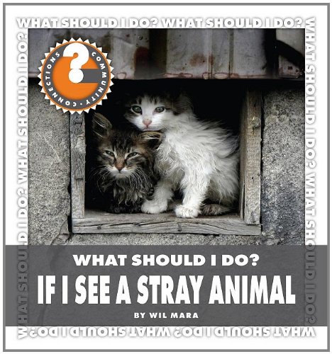 What Should I Do?: If I See a Stray Animal by Wil Mara