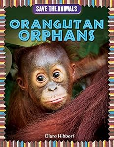 Orangutan Orphans by Clare Hibbert