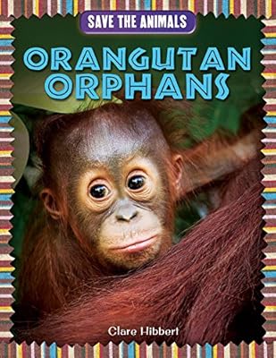Orangutan Orphans