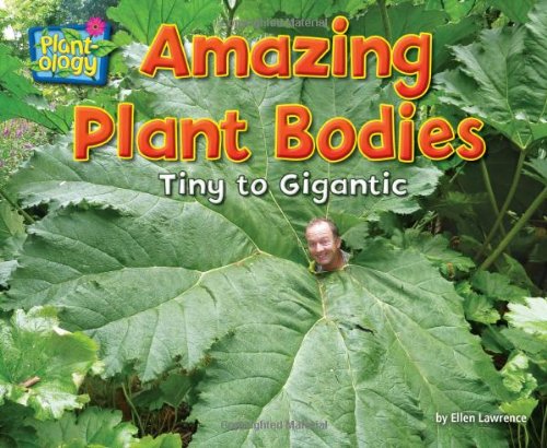 Amazing Plant Bodies: Tiny to Gigantic by Ellen Lawrence