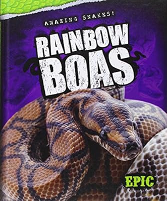 Rainbow Boas