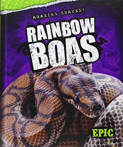 Rainbow Boas by Chris Bowman