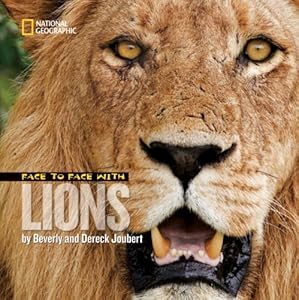 Face to Face with Lions (Face to Face with Animals)