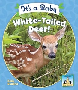 It's a baby white-tailed deer!