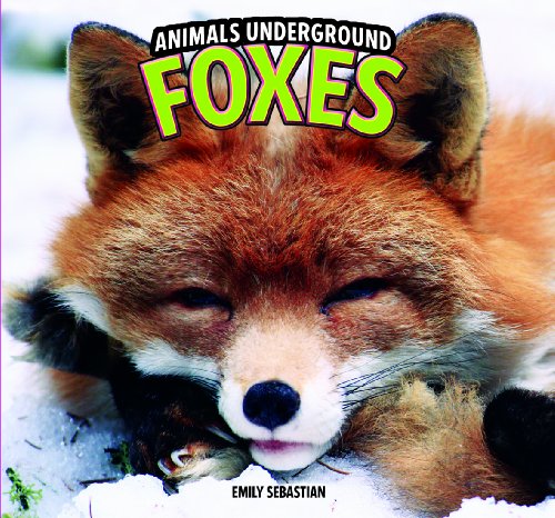 Foxes by Emily Sebastian