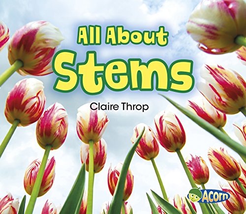 All About Stems by Claire Throp
