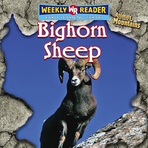 Bighorn Sheep (Animals That Live in the Mountains)