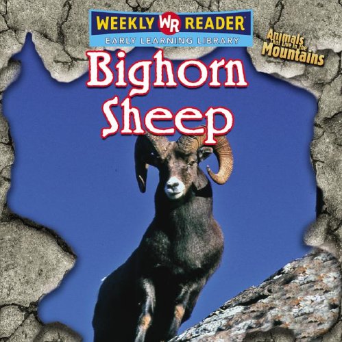 Bighorn Sheep (Animals That Live in the Mountains) by JoAnn Early Macken