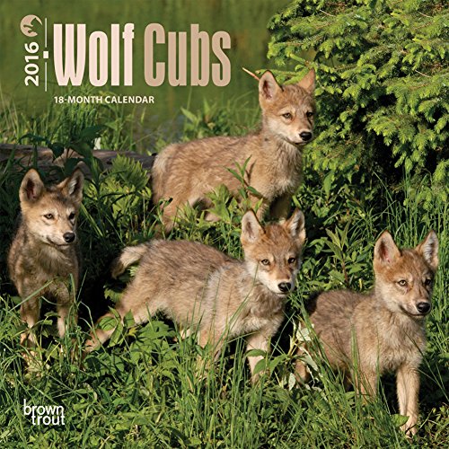 Wolf Cubs - 2016 Mini Wall Calendar 7 x 7in