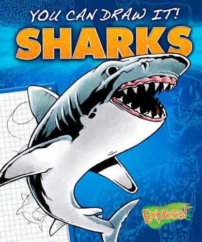 Sharks by Steve Porter
