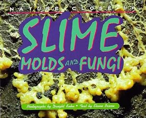 Nature Close-Up - Slime, Mold and Fungi