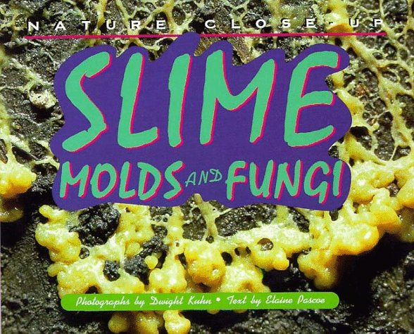 Nature Close-Up - Slime, Mold and Fungi by Elaine Pascoe