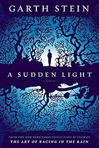 A Sudden Light: A Novel