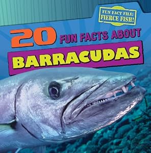 20 Fun Facts about Barracudas