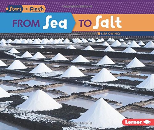 From Sea to Salt by Lisa Owings