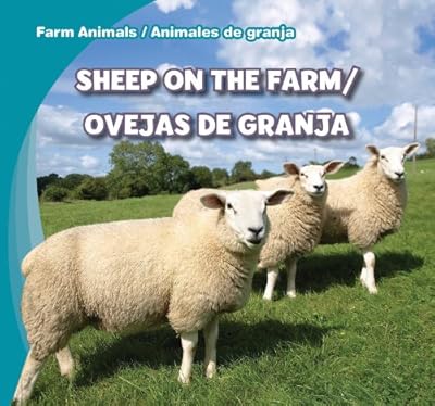 Sheep on the farm =